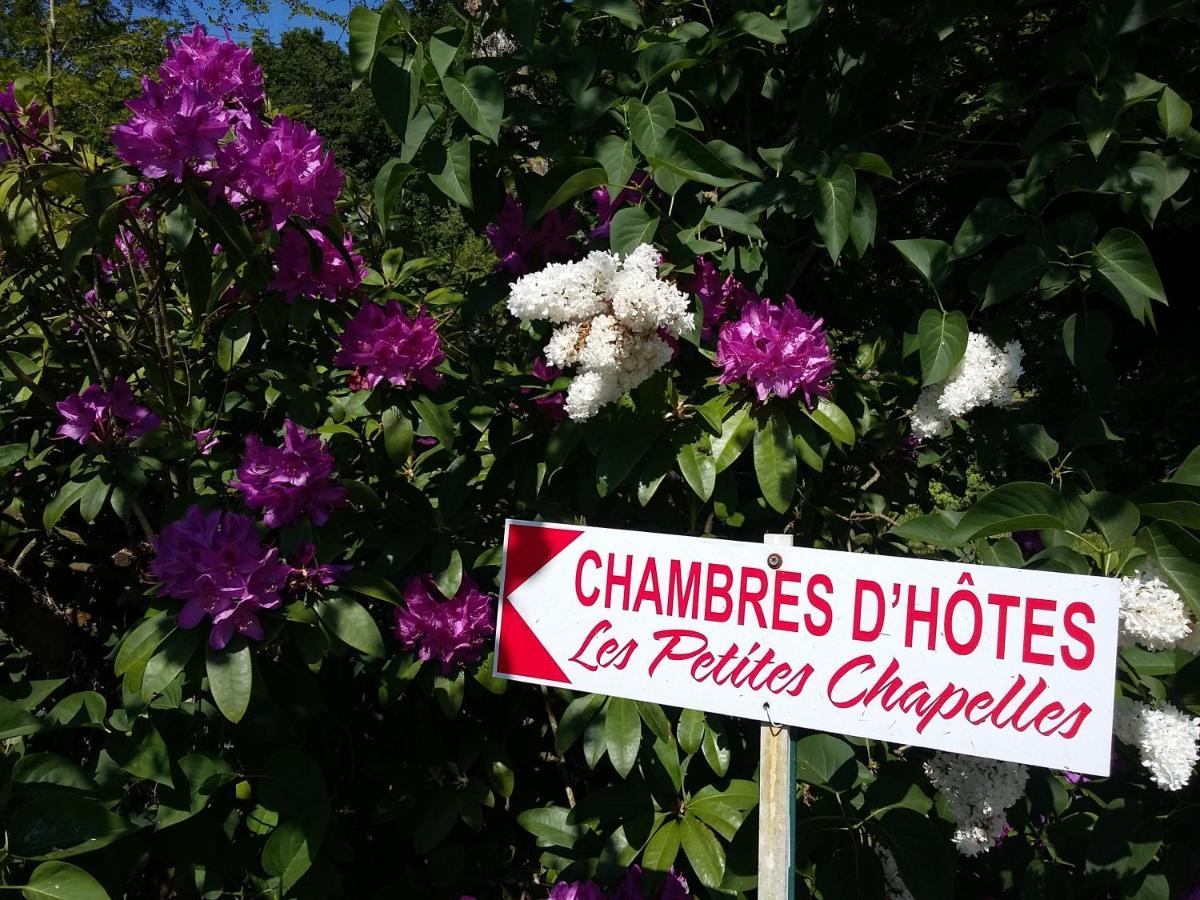 Les Petites Chapelles Bed & Breakfast Saint-Pierre-de-Plesguen Екстериор снимка