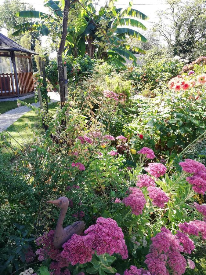 Les Petites Chapelles Bed & Breakfast Saint-Pierre-de-Plesguen Екстериор снимка